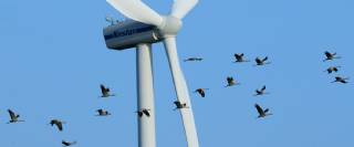 Wind Energy and the Environment